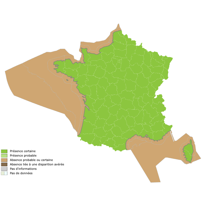 Répartition de la piéride du chou en France.