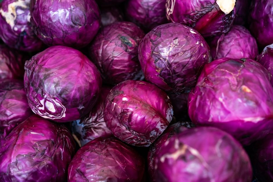 Choux rouges à la texture et à la couleur violette