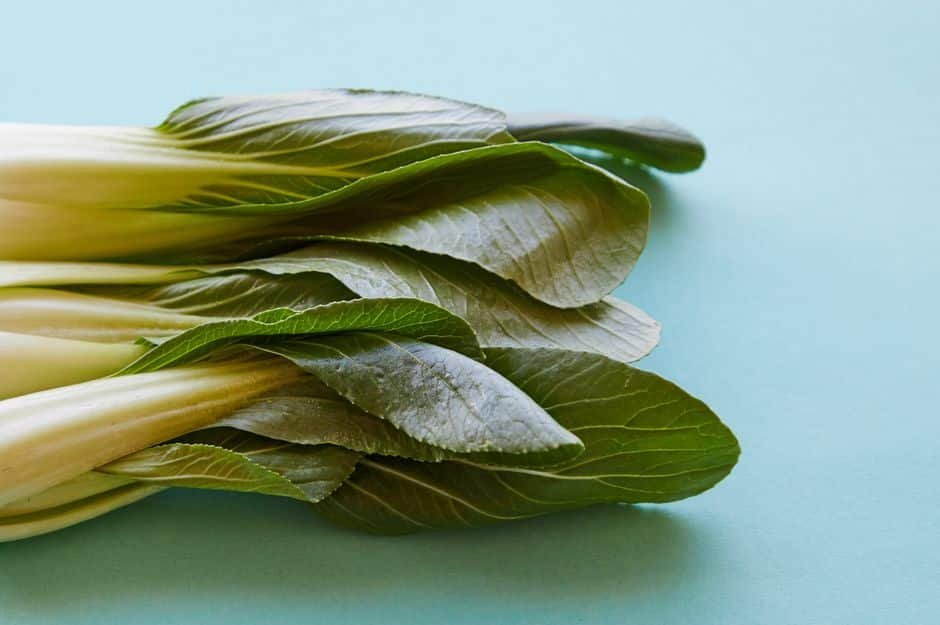 Feuilles de pak choï vues de dessus