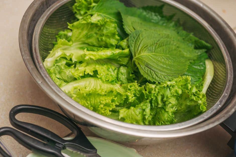 Feuilles de shiso vert et de shiso rouge