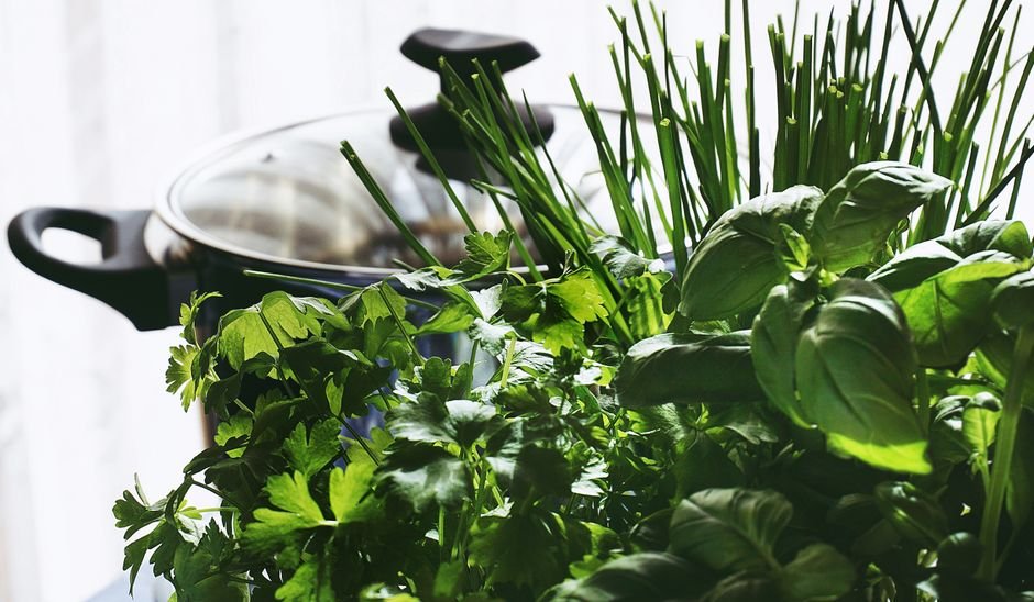 Herbes aromatiques fraîches