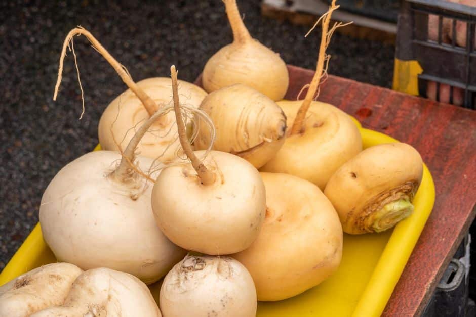 Navets ronds blancs présentés sur un étal de marché